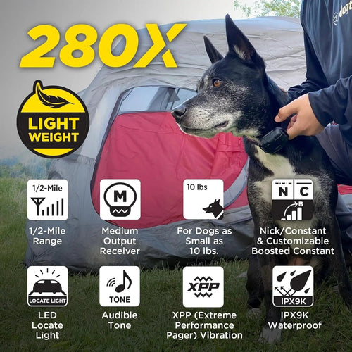 2 Dogs Training Collar Remote 1/2 Mile Waterproof LED Rechargeable Control