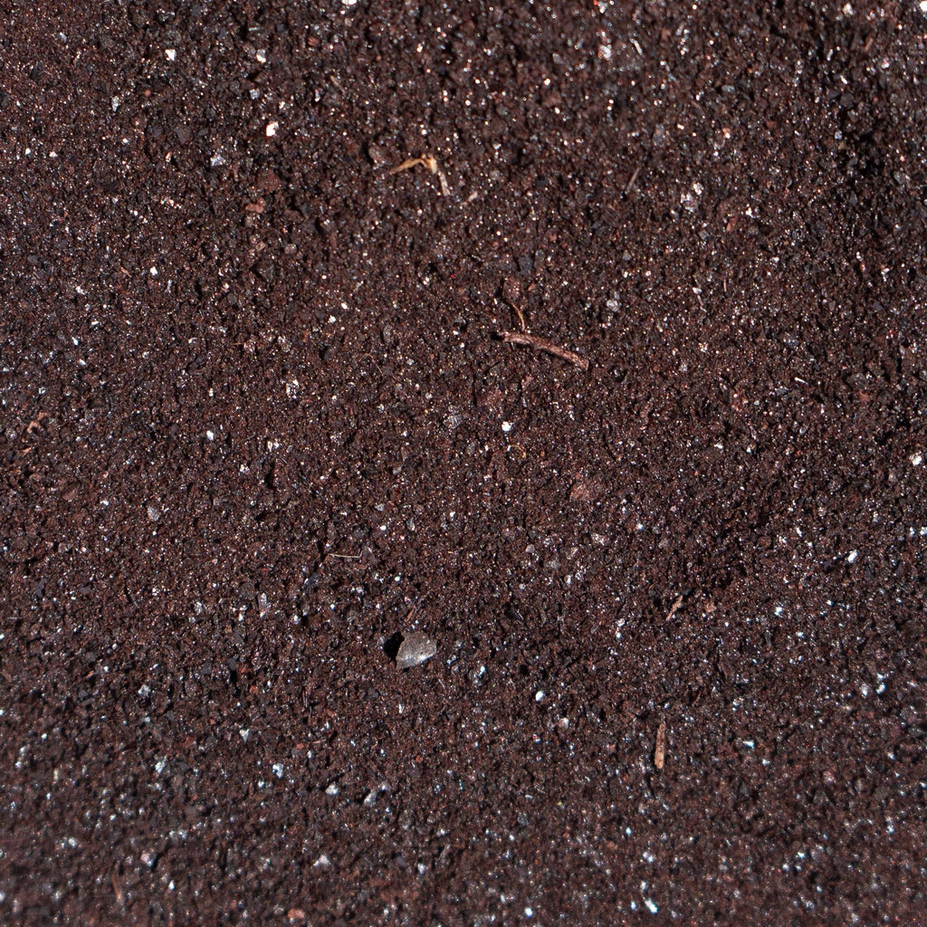 Freeze-Dried Beef Blood | Meal Topper