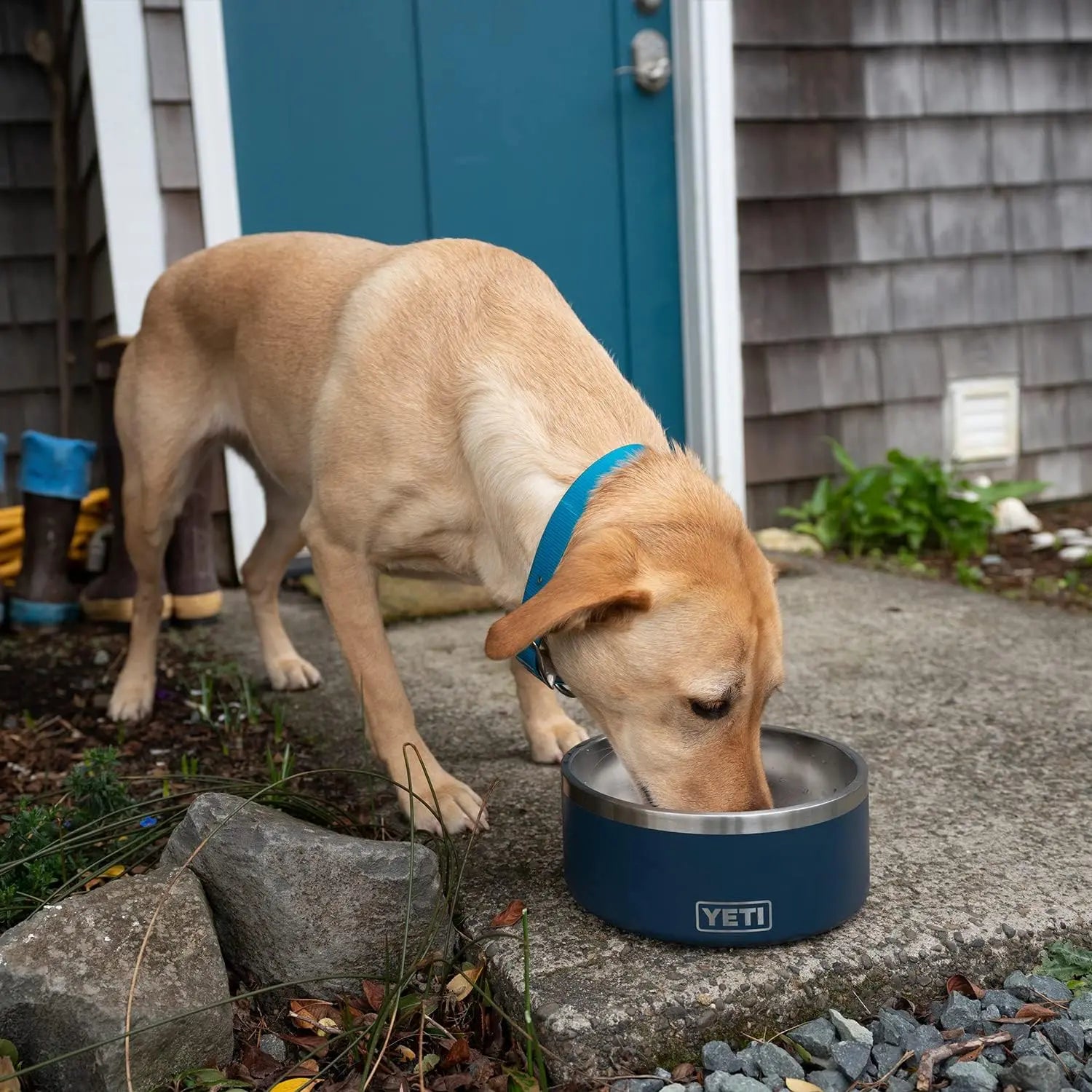 YETI 8, Stainless Steel, Non-Slip Dog Bowl, Holds 64 Ounces